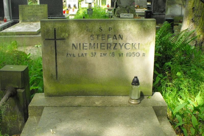 Zdjęcie grobu Stefan Niemierzycki (2)
