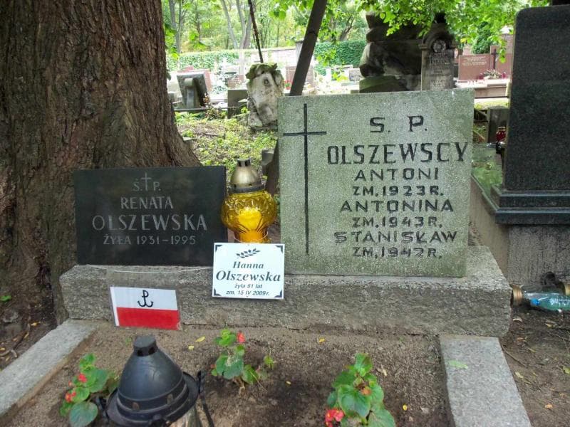 Zdjęcie grobu Stanisław Olszewski (2)
