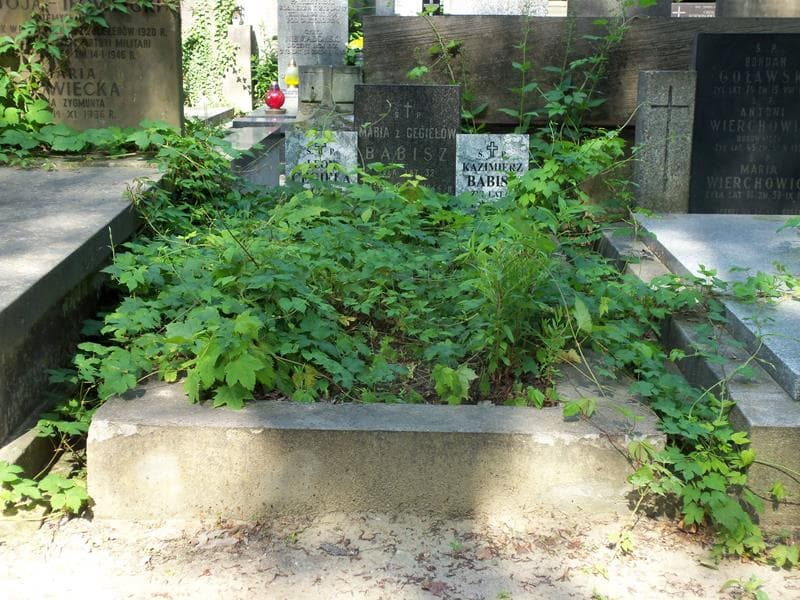 Zdjęcie grobu: Kazimierz Babisz