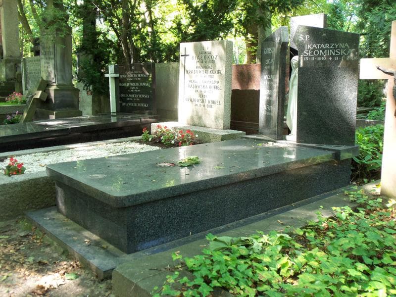Zdjęcie grobu Alfred Górski (1)