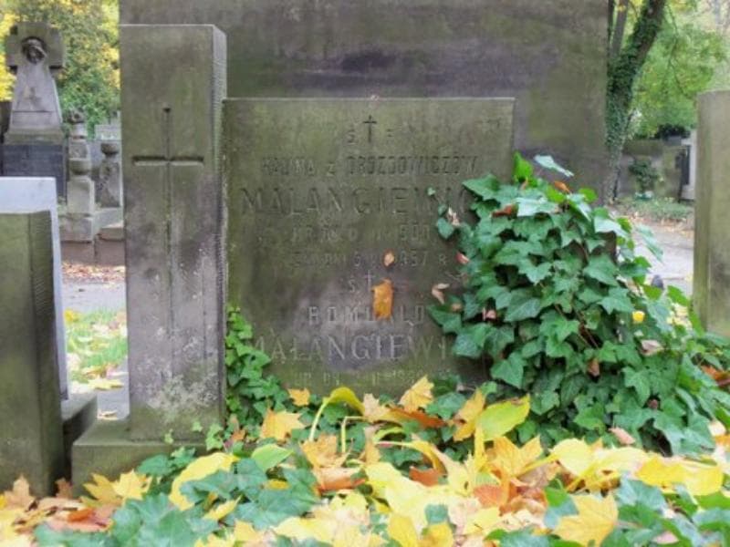 Zdjęcie grobu Halina Malangiewicz (2)