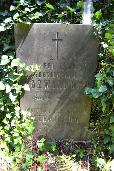 Zdjęcie grobu Wiktoria Czernicka (2)