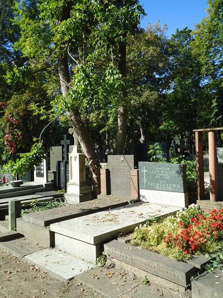 Zdjęcie grobu Stanisław Cichosz (1)