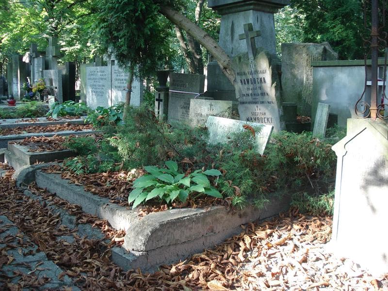 Zdjęcie grobu Natalia Nawrocka (1)