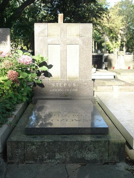 Zdjęcie grobu: Amelia Bela Brzozowska