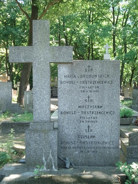 Zdjęcie grobu Maria Bohusz-Siestrzencewicz (1)