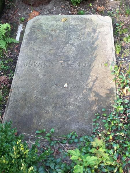 Zdjęcie grobu Ludwika Olenowicz (2)