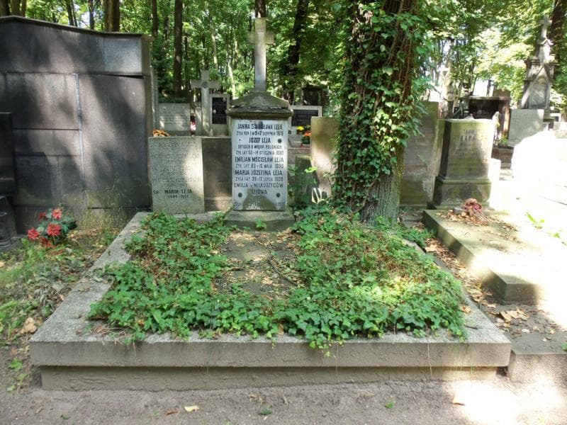 Zdjęcie grobu: Kazimierz Leja