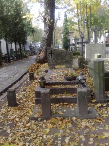 Zdjęcie grobu: Fryderyka Fitzowa