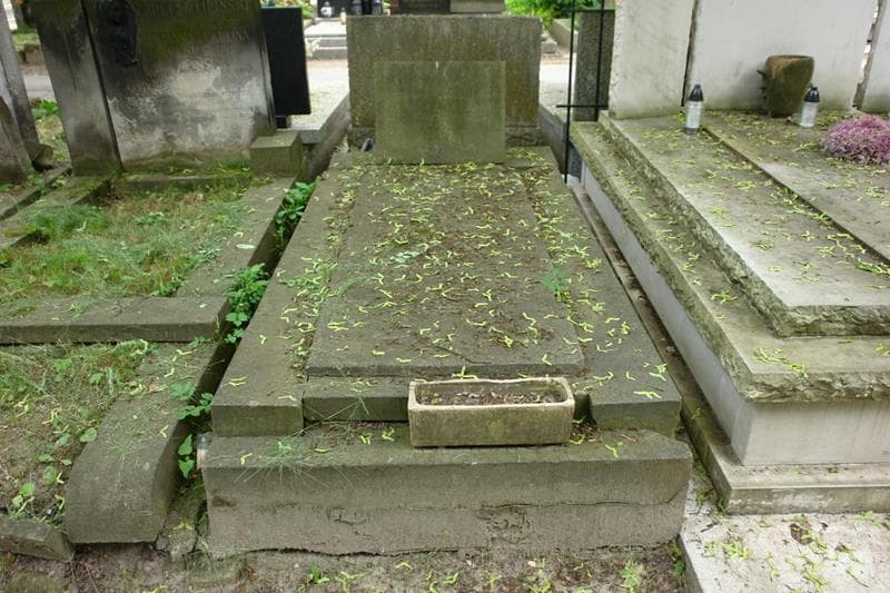 Zdjęcie grobu Alicja Leśniewska (1)