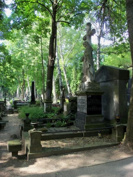 Zdjęcie grobu Delfina Deboli (1)