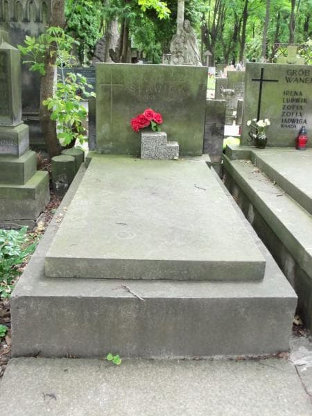 Zdjęcie grobu Aleksander Sławicki (1)