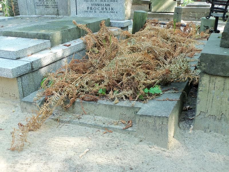 Zdjęcie grobu Jerzy Sawicki (1)