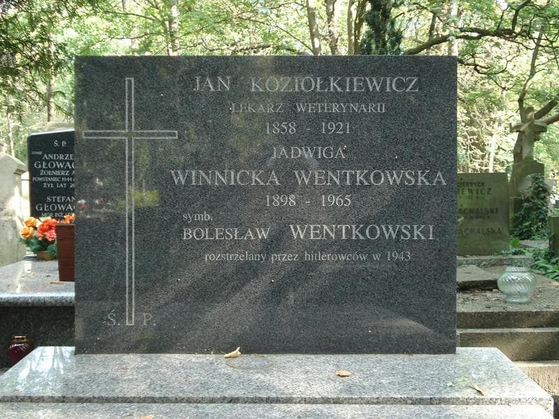 Zdjęcie grobu Jan Koziołkiewicz (2)