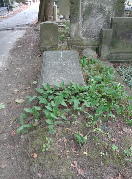 Zdjęcie grobu Stanisława Orłowska (1)