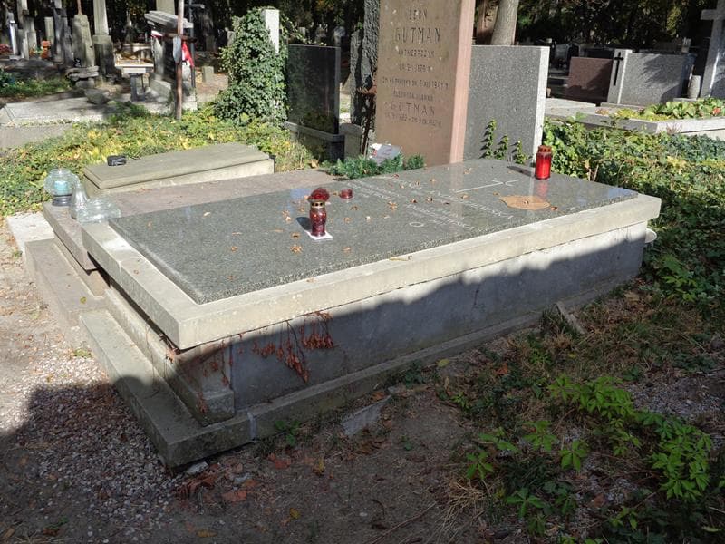 Zdjęcie grobu: Edward Janusz Andrzejewski