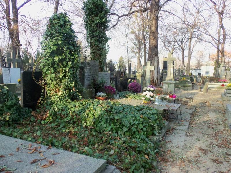 Zdjęcie grobu Aurelia Schafnagl (1)
