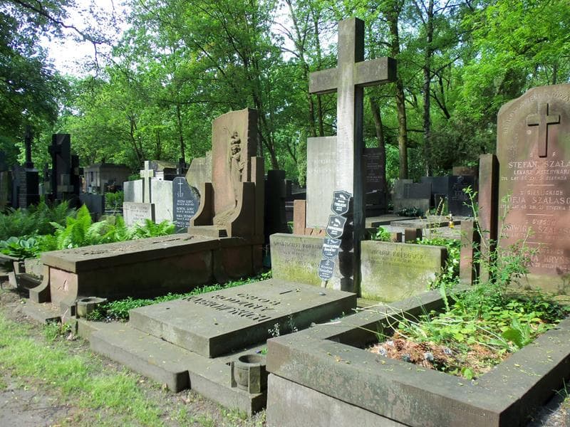 Zdjęcie grobu Maria Frankowska (1)