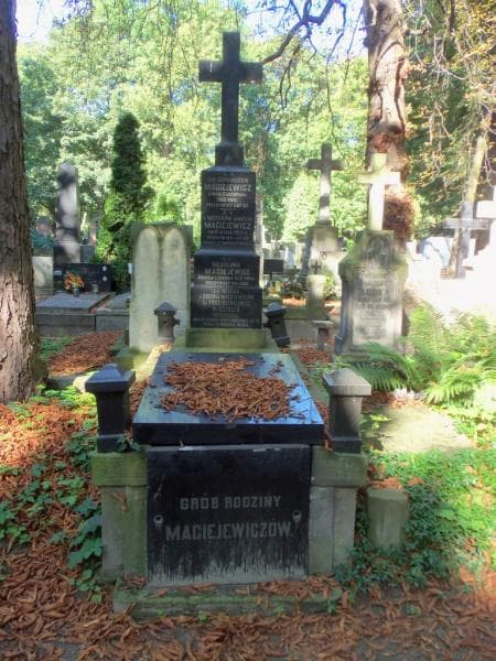 Zdjęcie grobu: Amelja Maciejewicz
