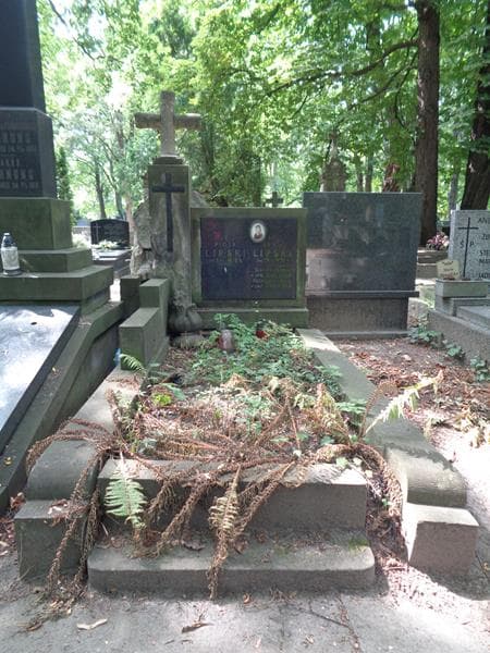 Zdjęcie grobu Piotr Lipski (1)