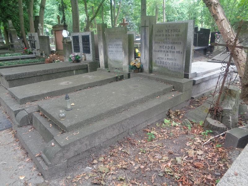 Zdjęcie grobu: Janina Dąbrowska