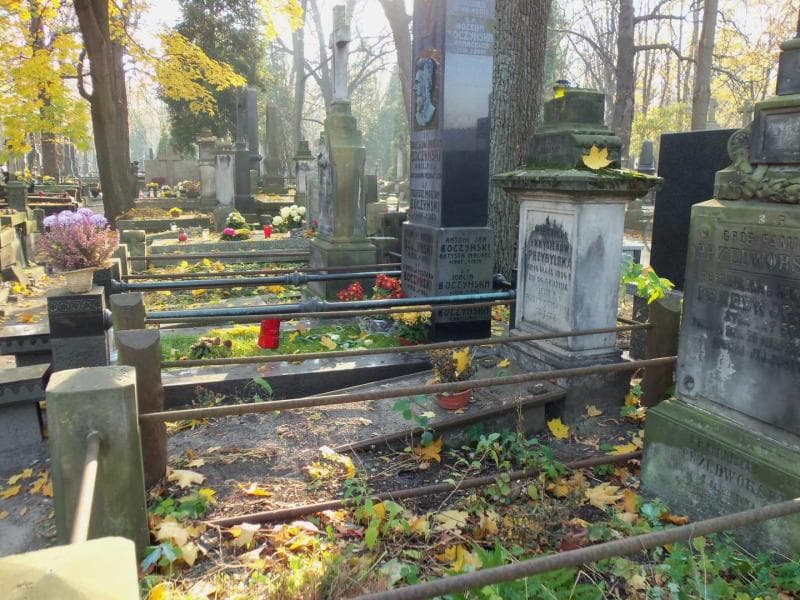 Zdjęcie grobu Natalja Borkowska (1)