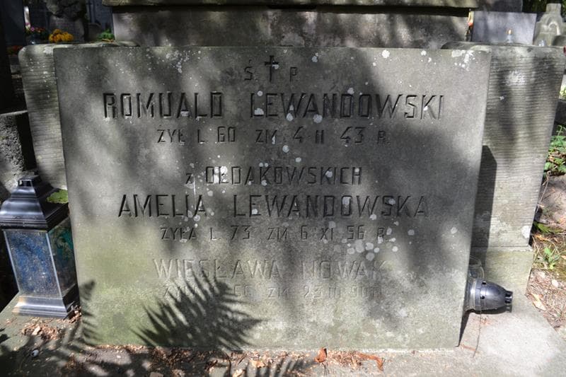 Zdjęcie grobu Janina Lewandowska (2)