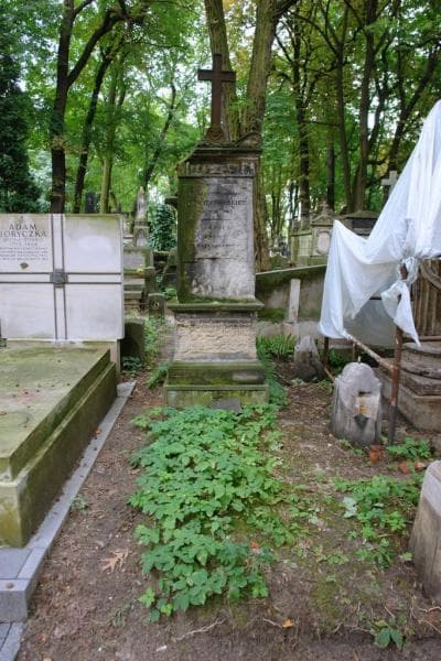Zdjęcie grobu Karolina Woyciechowska (1)