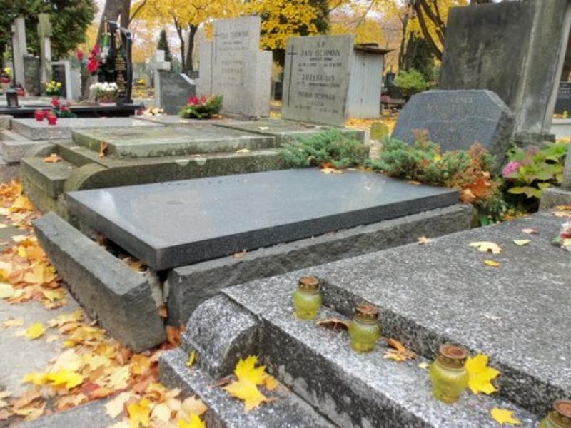 Zdjęcie grobu Feliks Wasilewski (1)