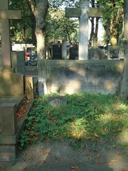 Zdjęcie grobu: Weronika Trzcińska