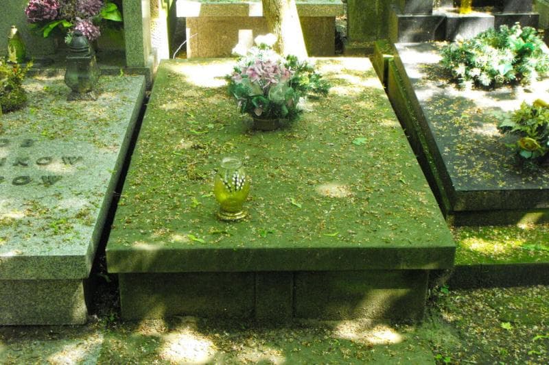 Zdjęcie grobu Jadwiga Grabowska (1)