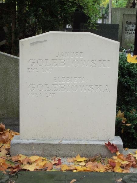 Zdjęcie grobu Janina Gołębiowska (2)
