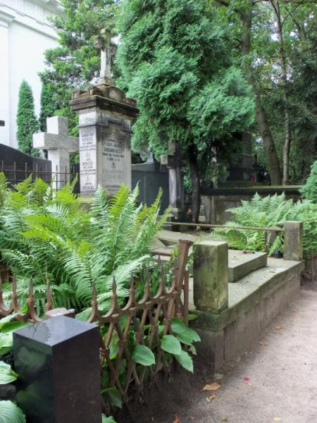 Zdjęcie grobu Anna Zdziarska (1)