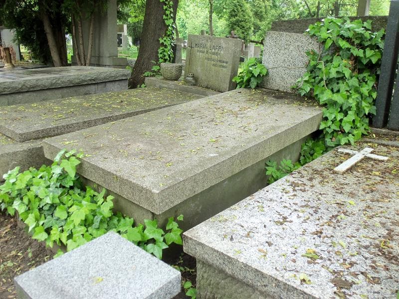 Zdjęcie grobu Maria Czarnecka (2)
