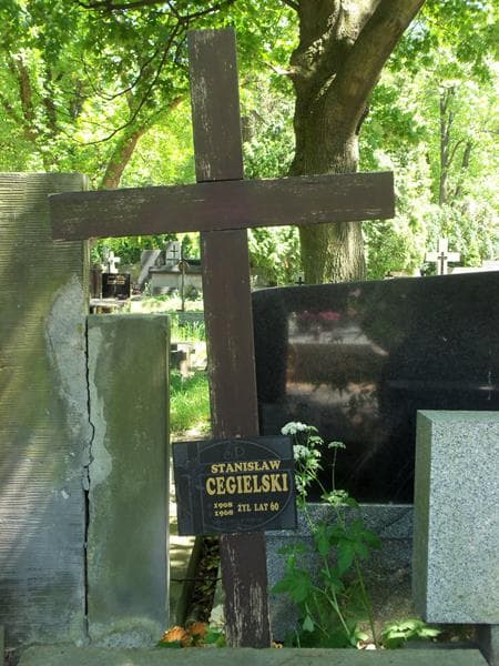 Zdjęcie grobu Stanisław Cegielski (2)