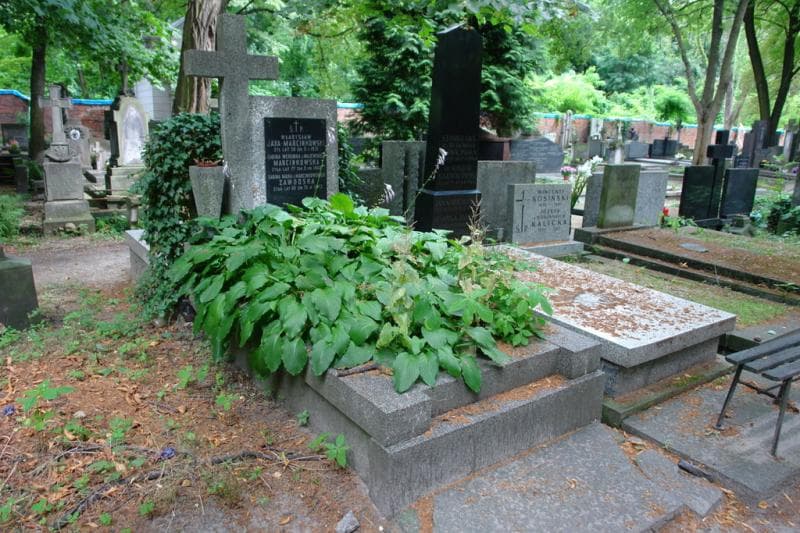 Zdjęcie grobu Sabina Weronika Marcinkowska (1)