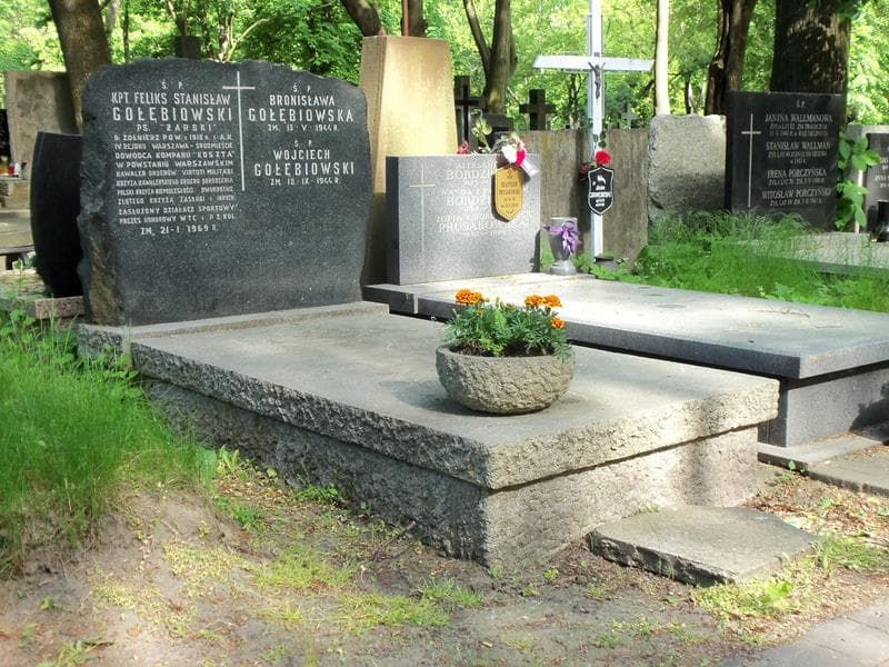 Zdjęcie grobu Feliks Stanisław Gołębiowski (1)