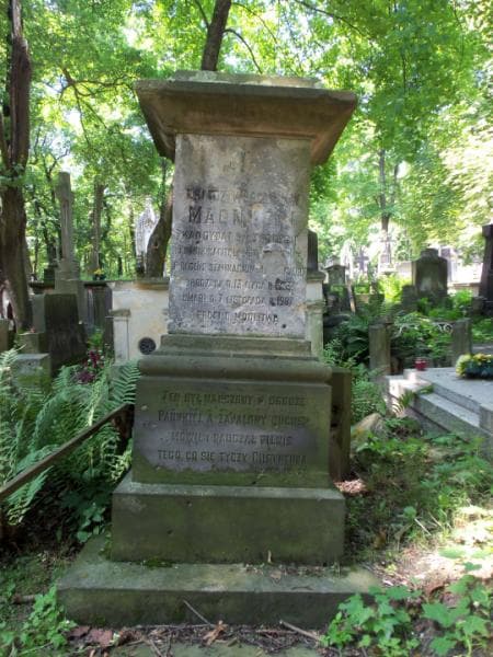 Zdjęcie grobu Władysław Magnuski (2)