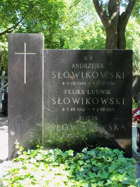 Zdjęcie grobu Feliks Ludwik Słowikowski (2)