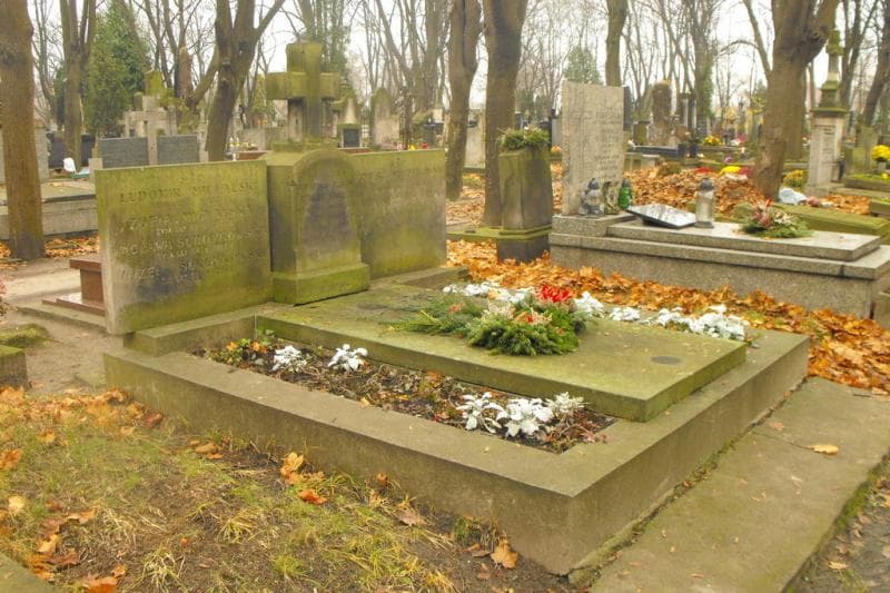 Zdjęcie grobu Stanisław Nowosielski (1)