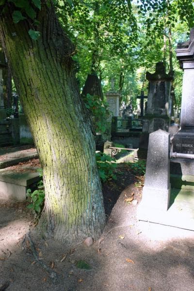 Zdjęcie grobu: Pole Grobowe