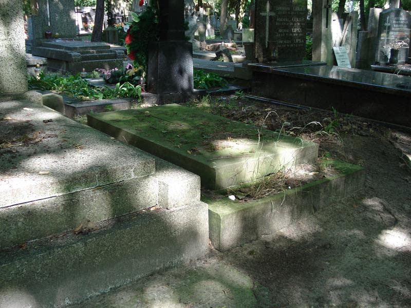 Zdjęcie grobu Janina Iwaszkiewicz (2)