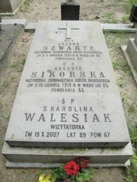 Zdjęcie grobu Karolina Walesiak (2)