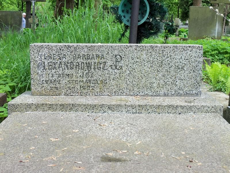 Zdjęcie grobu Teresa Barbara Alexandrowicz (2)