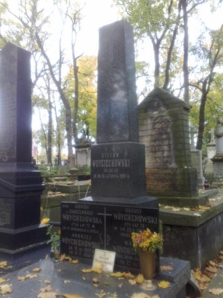 Zdjęcie grobu Andrzej Woyciechowski (1)