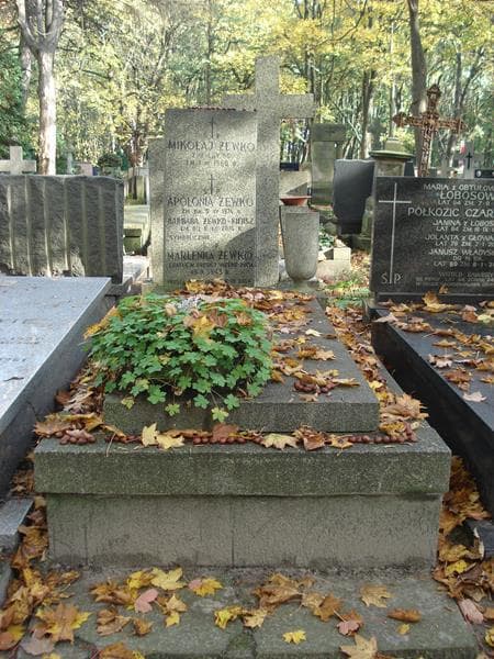 Zdjęcie grobu: Barbara Żewko-Kiersz