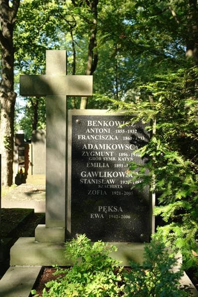 Zdjęcie grobu Antoni Benkowicz (2)