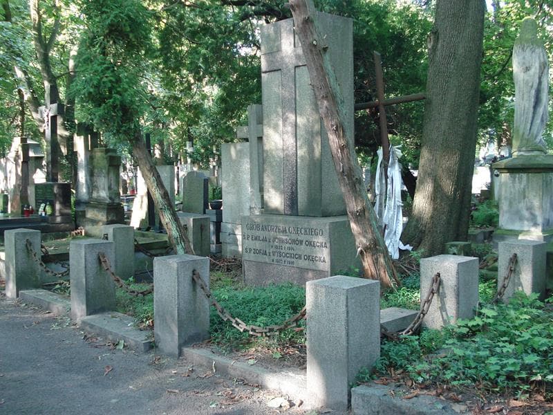 Zdjęcie grobu Emilja Okęcka (1)