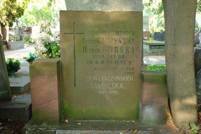 Zdjęcie grobu Waleria Górska (2)