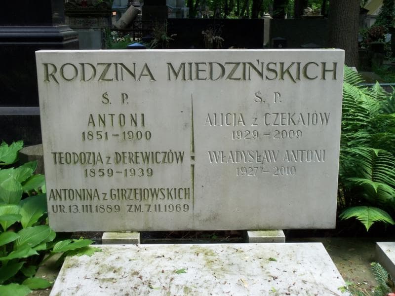 Zdjęcie grobu Antoni Miedziński (2)
